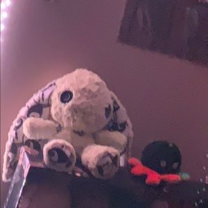 Meet your Posher, Miah